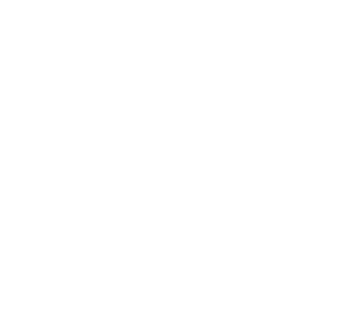 partners_00_novex