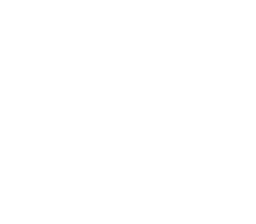 partners_02_cpanel