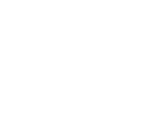 partners_11_szamlazzhu