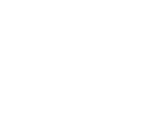 partners_00_novex